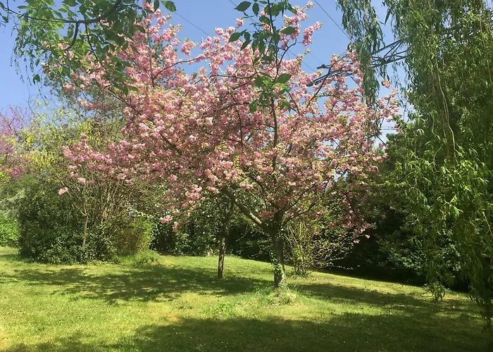 Oclos du RhuisO