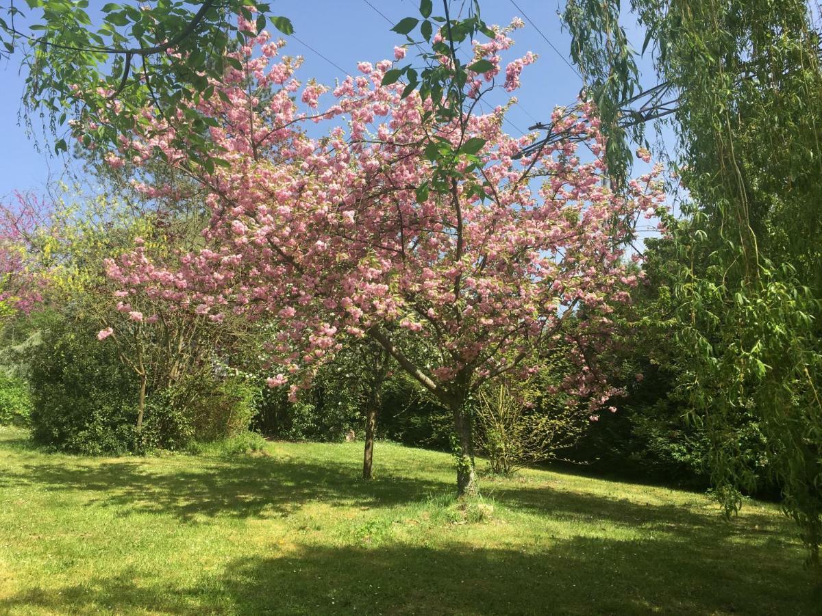 Oclos Du Rhuiso Hébergement de vacances Rhuis